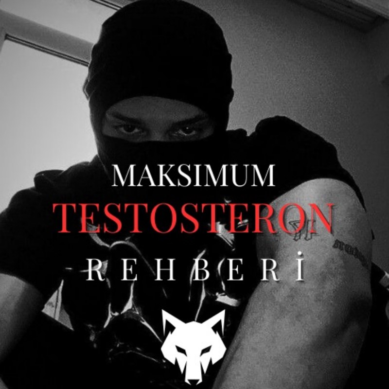 Maksimum Testosteron
